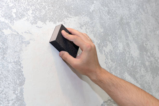 Best HVAC Mold Inspection and Cleaning  in Kissimmee, FL