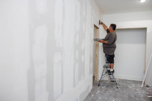  Kissimmee, FL Mold Removal Pros
