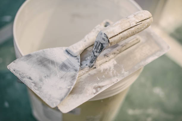 Best Dehumidification Services  in Kissimmee, FL
